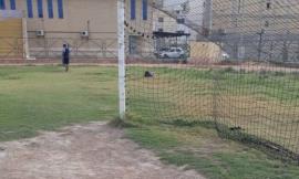 چمن فوتبال ورزشگاه شهید سراجی  گناوه ترمیم و بازسازی شد