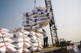  کشتی حامل ۲۸ هزار تن برنج وارد بندر بوشهر می‌شود