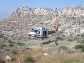  نجات چوپان گرفتار در کوه‌های کردلان دشتی با بالگرد اورژانس