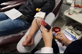  6هزار و ۵۶۴ نفر در استان بوشهر خون اهدا کردند