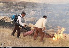 مهار آتش در  منطقه کوهستانی بوشکان به روایت تصویر