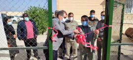 افتتاح مرکز تخصصی تیمار و نگهداری وحوش در منطقه حله بوشهر+عکس