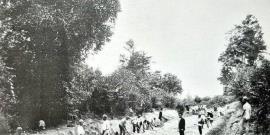 عکس/ ساخت جاده انزلی به رشت اواخر قاجاریه
