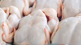 روزانه حدود ۹۰ تن مرغ مازاد برنیاز استان تولید می شود