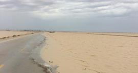 جاده ساحلی گناوه - ریگ به بوشهر مسدود شد