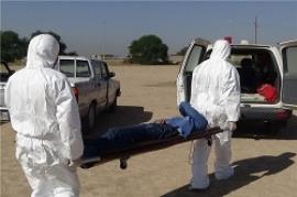 تب کریمه کنگو در کشور جان 10 نفر را گرفت