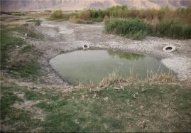  به جای فرافکنی، مشکل آب استان بوشهر را حل کنند