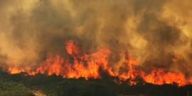 آتش‌سوزی ارتفاعات کوه‌سیاه و جنگل‌های ‌منطقه دشتی 