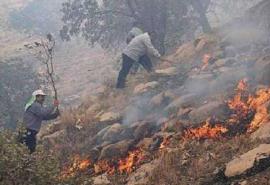 آتش سوزی اراضی کشاورزی و مراتع دشتی مهار شد