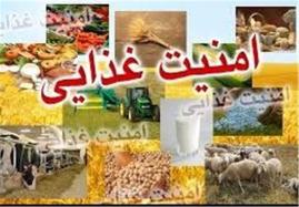 طرح امنیت غذایی در استان‌های مرزی اجرا می‌شود