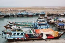 اسکله بندر لاور ساحلی بوشهر به سازمان بنادر واگذار شود
