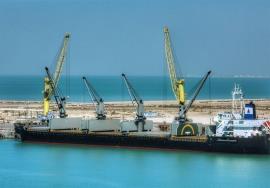 تاکنون 22 هزار تن گندم وارداتی تخلیه و به انبارهای گمرک بوشهر منتقل شد