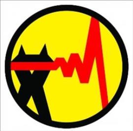 آگهی مناقصه عمومی شرکت توزیع نیروی برق استان بوشهر