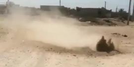 ماجرای جوشیدن عجیب خاک در بوشهر!+فیلم