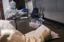 به زودی 3 آزمایشگاه در استان بوشهر راه اندازی می شود