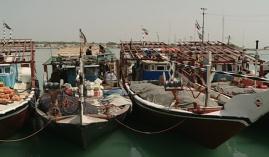 اجرای طرح دریابست، حفاظت از آبزیان خلیج فارس