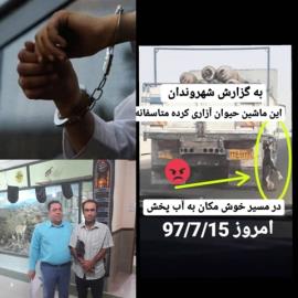 دو نفر متخلف حیوان آزاری در دشتستان دستگیر شدند