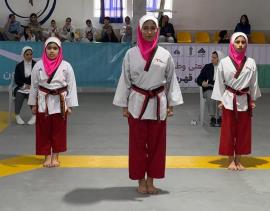 ۶۰ درصد ورزشکاران تکواندوکار بانوان هستند