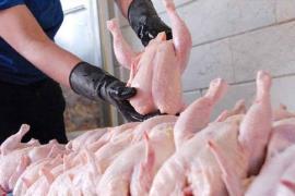 قیمت مرغ در بوشهر 29 هزارو 800  اعلام شد