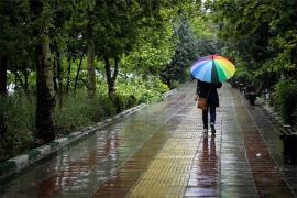 مدیرکل هواشناسی بوشهر: ورود سامانه بارشی به استان 