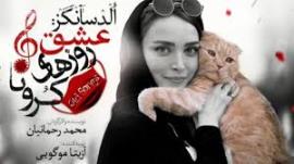 فیلم/توقیف یک اپیزود از نمایشی به خاطر گربه 