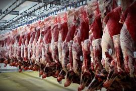 قیمت گوشت قرمز در بازار بوشهر کاهش می یابد