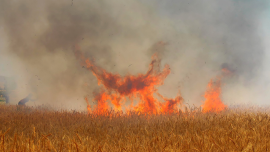 آتش‌سوزی گندم‌زار در وحدتیه تکذیب شد