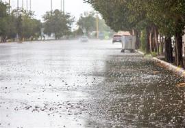 هواشناسی: پیش بینی بارش پراکنده باران برای شمال بوشهر 