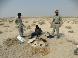  تخریب کومه های صید پرندگان شکاری در منطقه مند+عکس
