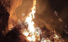 تصاویر/ آتش سوزی در منطقه حفاظت شده خائیز