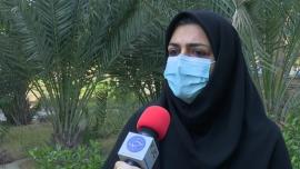 گرده افشانی۹۰ درصد نخلستان‌های بوشهر