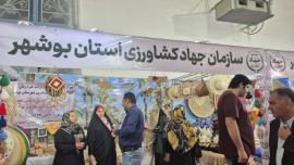 فعالیت ۷۷ صندوق خرد زنان روستایی و عشایری در استان بوشهر