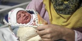  آمار ولادت پس از هفت سال در بوشهر صعودی شد