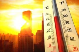 5 شهر استان بوشهر گرمای بالای 40 درجه را تجربه می کنند