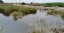 فاضلاب؛ برچسبی همیشگی بر پیشانی شهر چغادک