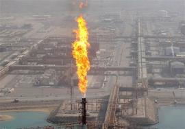 سازمان حفاظت محیط زیست: مسئولان استان بوشهر موجب تشویش اذهان عمومی را فراهم نکنند!