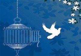 رهایی یک محکوم به قصاص نفس پس از هشت سال در دشتستان 