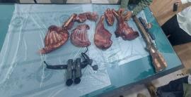 شکارچی غیرمجاز بزکوهی در دشتستان دستگیر شد