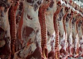 دامپزشکی دشتی: مردم از مراکز معتبر گوشت بخرند