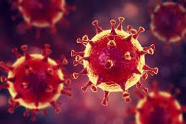 دستیابی به سرنخ‌های بیوشیمیایی جدید در مورد نحوه ورود کروناویروس به سلول