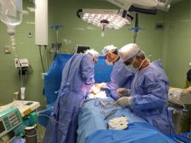 مادر ۳۹ ساله تنگستانی ناجی چندین بیمار نیازمند به عضو شد