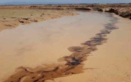 منشا آلودگی های نفتی سواحل و رودخانه های گناوه مشخص شد