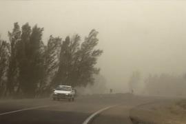 پیش‌بینی ورود گرد و غبار به مناطق شمالی و مرکزی استان بوشهر