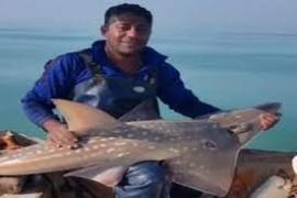 فیلم/ فداکاری صیاد بوشهری در حفاظت از گونه‌ای کمیاب