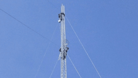 سلول‌های خونی، قلب و چشم در تیررس امواج موبایل