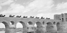 عکس/ کاروان شتر روی پل باستانی؛ تصاویر نایاب از زاینده‌رود 