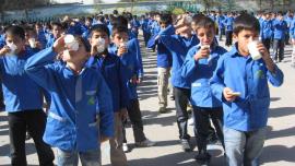 شیر رایگان در مدارس استان بوشهر توزیع شد