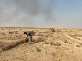 محیط زیست: یکی از دشت‌های مهم زنده‌گیری «هوبره» پاکسازی شد