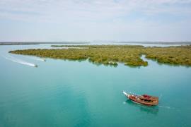 هشدار یک پژوهشگر درباره تهدیدهای جنگل‌های حرا (مانگرو) کشور