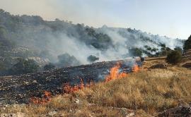 عاملان آتش سوزی جنگل های خاییز شناسایی و دستگیر شدند